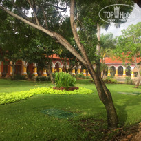 фото из отзыва ID 2096717