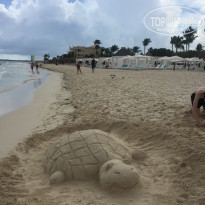 фото из отзыва ID 2096717