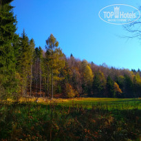 фото из отзыва ID 2096223