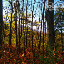 фото из отзыва ID 2096223