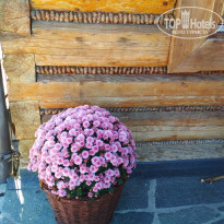 фото из отзыва ID 2096223