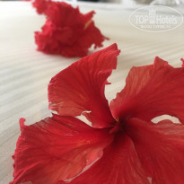 фото из отзыва ID 2096744