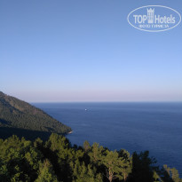 фото из отзыва ID 2096690