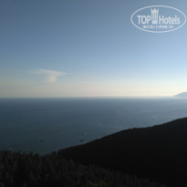 фото из отзыва ID 2096690