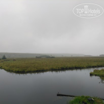 фото из отзыва ID 2096690