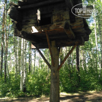 фото из отзыва ID 2096690