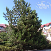 фото из отзыва ID 2096799