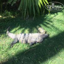 фото из отзыва ID 2096819