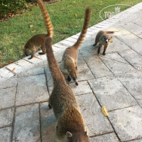 фото из отзыва ID 2096819