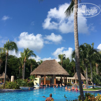 фото из отзыва ID 2096819