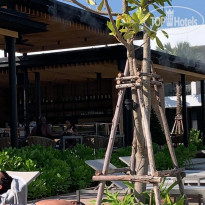 фото из отзыва ID 2096818