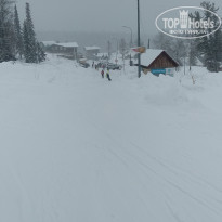 фото из отзыва ID 2096848