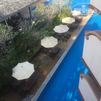 фото из отзыва ID 2096617