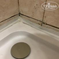 фото из отзыва ID 2096888