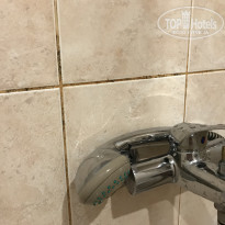 фото из отзыва ID 2096888