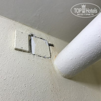 фото из отзыва ID 2096888