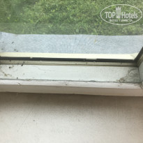 фото из отзыва ID 2096888