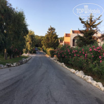 фото из отзыва ID 2096947