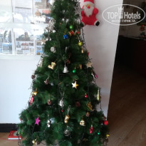 фото из отзыва ID 2096968