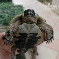 фото из отзыва ID 2096984