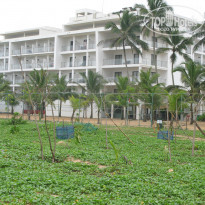 фото из отзыва ID 2096108