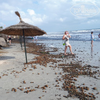 фото из отзыва ID 2096999