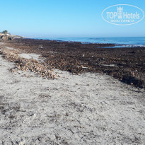 фото из отзыва ID 2096999