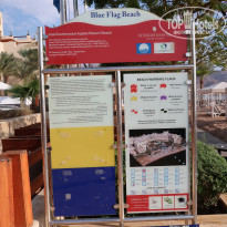 фото из отзыва ID 2094979