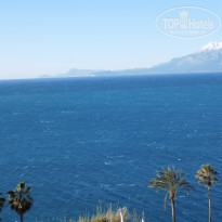 фото из отзыва ID 2096351