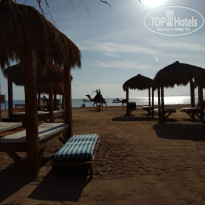 фото из отзыва ID 2097122