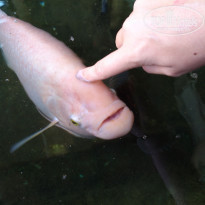 фото из отзыва ID 2097103