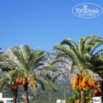 фото из отзыва ID 2097137