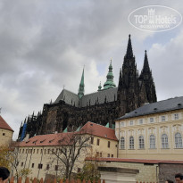 фото из отзыва ID 2097153