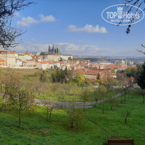 фото из отзыва ID 2097153