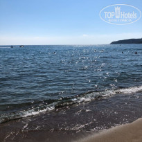 фото из отзыва ID 2097228