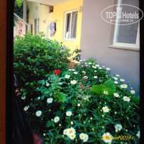 фото из отзыва ID 2097273