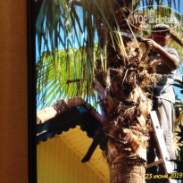 фото из отзыва ID 2097273