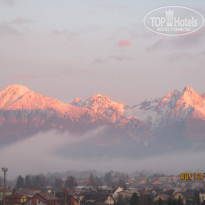 фото из отзыва ID 2097355