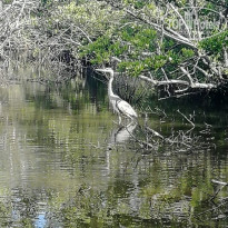 фото из отзыва ID 2097394