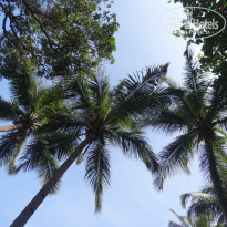 фото из отзыва ID 2097412