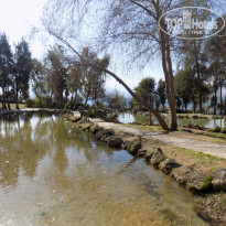 фото из отзыва ID 2096351