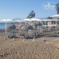 фото из отзыва ID 2096362