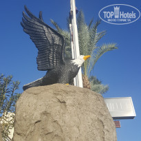 фото из отзыва ID 2097476