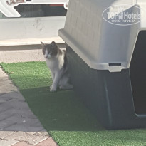 фото из отзыва ID 2097476