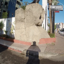 фото из отзыва ID 2097476