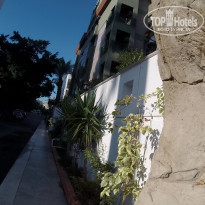 фото из отзыва ID 2097476