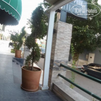 фото из отзыва ID 2097476