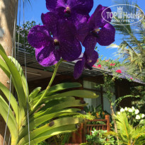 фото из отзыва ID 2097529