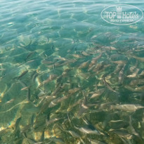 фото из отзыва ID 2097530