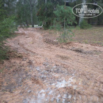 фото из отзыва ID 2097608